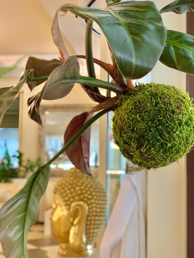 Boario Terme Hotel Brescia מראה חיצוני תמונה