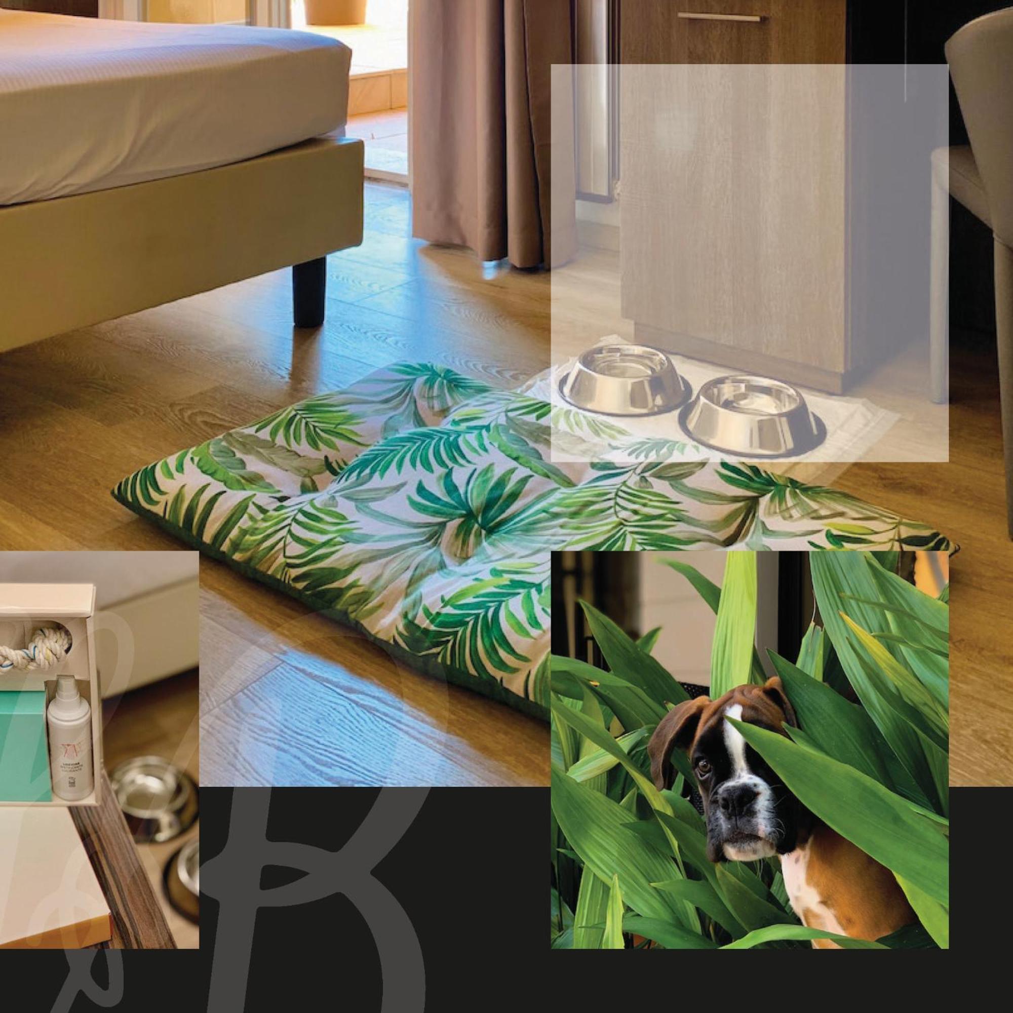 Boario Terme Hotel Brescia מראה חיצוני תמונה